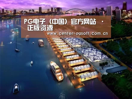 案例展示八