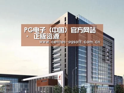 案例展示七