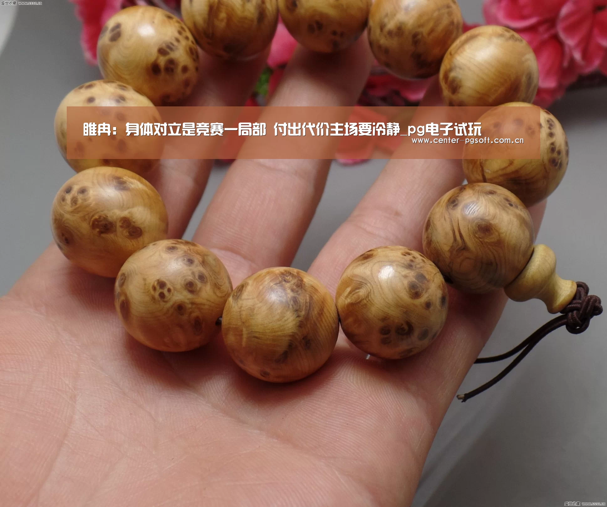pg电子游戏模拟器