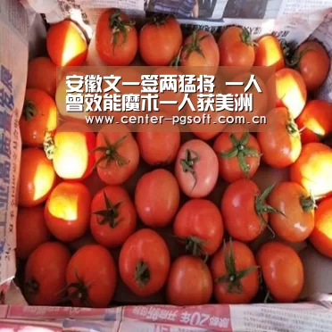 安徽文一签两猛将 一人曾效能魔术一人获美洲杯MVP-pg电子(图2) PG Soft