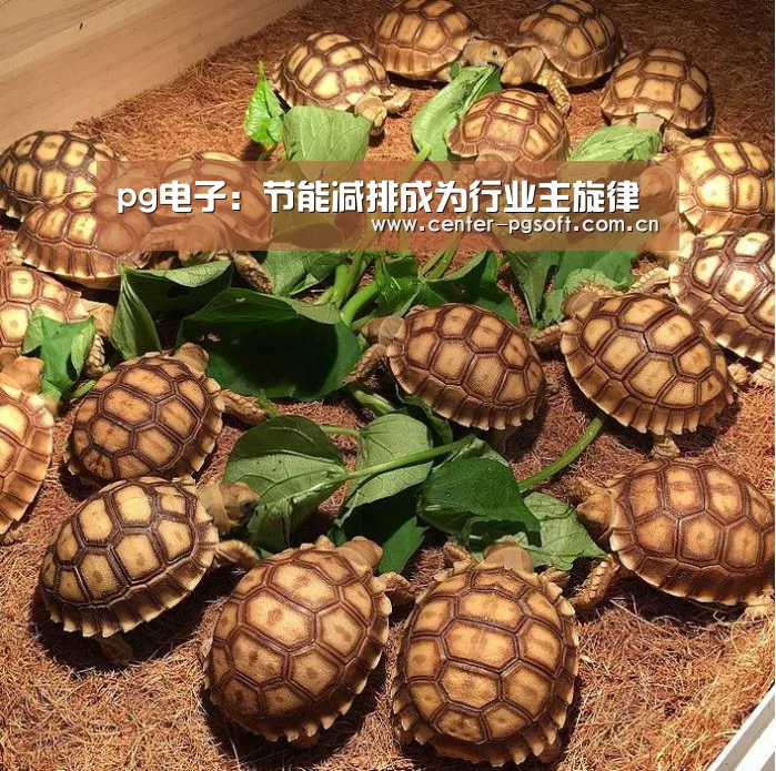 pg电子:节能减排成为行业主旋律(图3) PG Soft