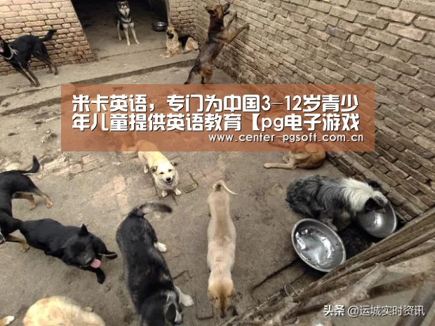 米卡英语,专门为中国3-12岁青少年儿童提供英语教育【pg电子游戏模拟器】(图3) pg电子