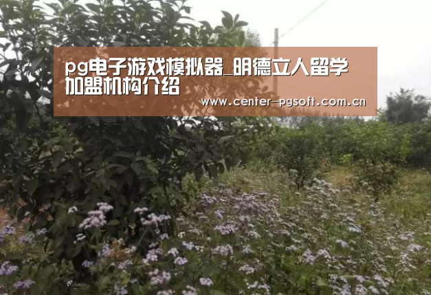 pg电子游戏模拟器_明德立人留学加盟机构介绍(图1) pg电子试玩