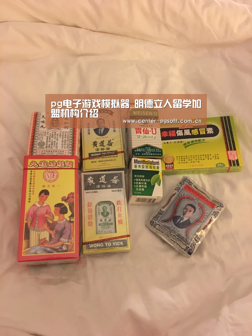 pg电子游戏模拟器_明德立人留学加盟机构介绍(图2) pg电子游戏模拟器