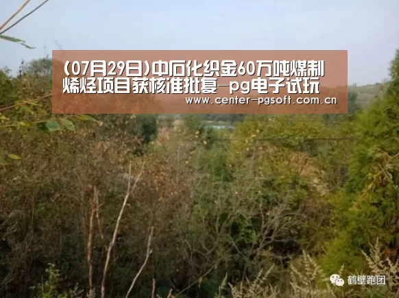 pg电子试玩