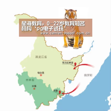 pg电子游戏模拟器